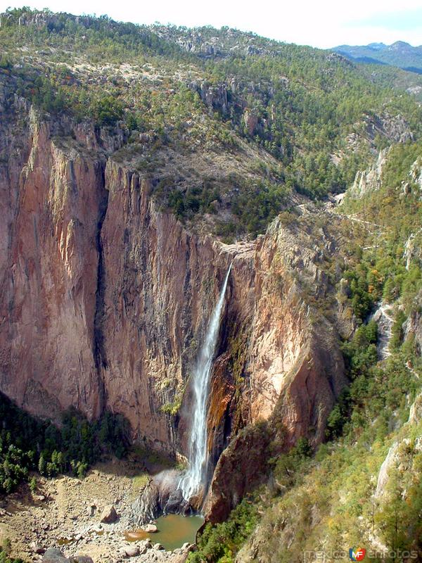 Fotos de Ocampo, Chihuahua, México: Cascada de Basaseachi