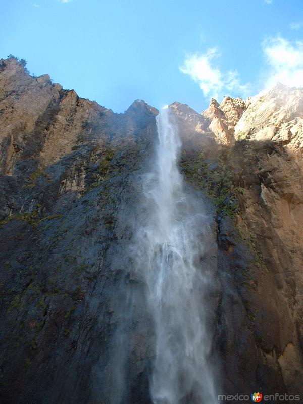 Fotos de Ocampo, Chihuahua, México: Cascada de Basaseachi