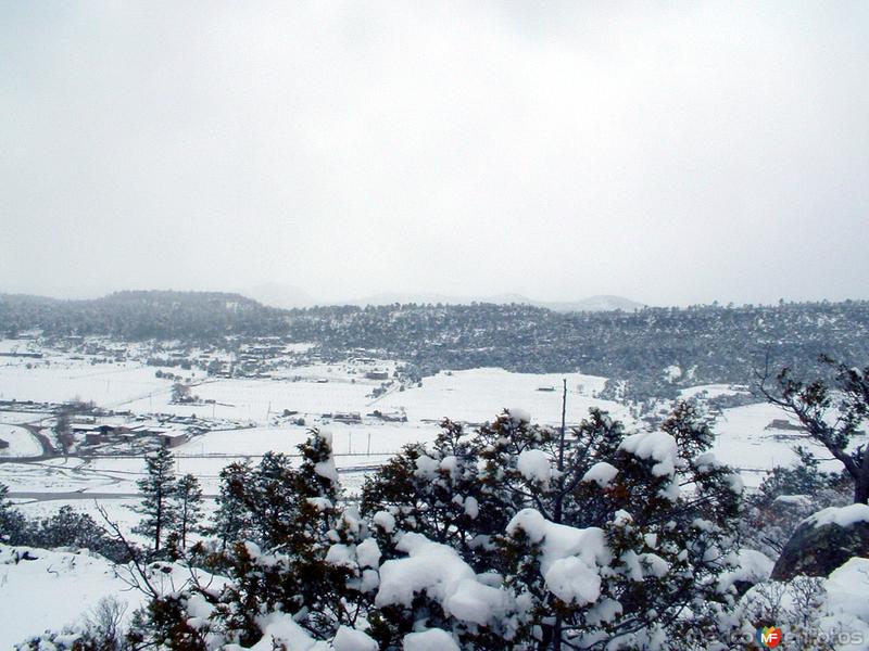 Paisaje nevado en Sisoguichi