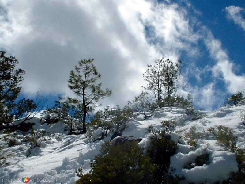 Paisaje nevado en Sisoguichi