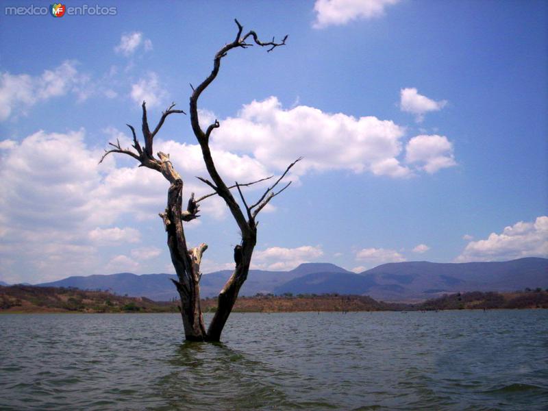 Laguna de Cajititlán