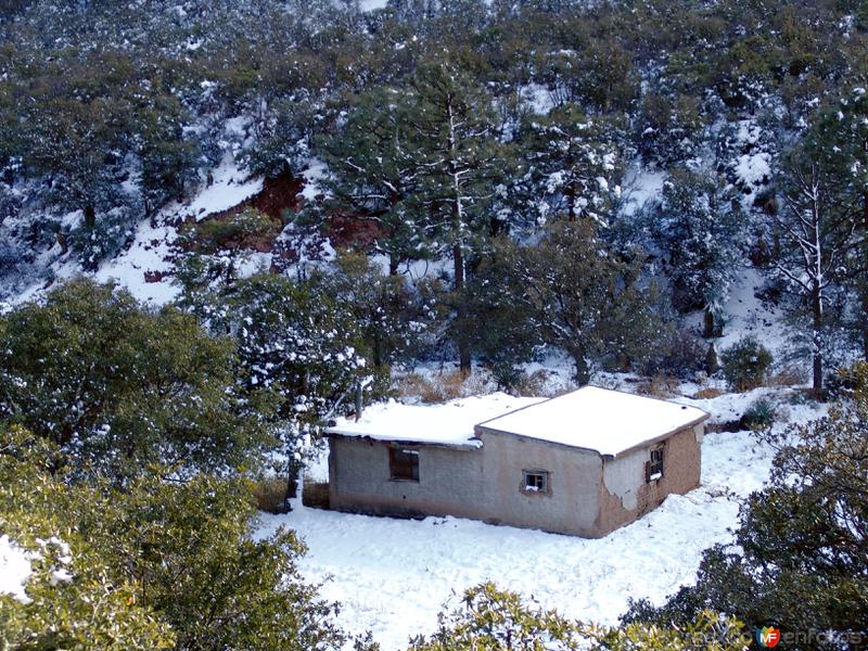 Nieve en la Sierra de San Luis