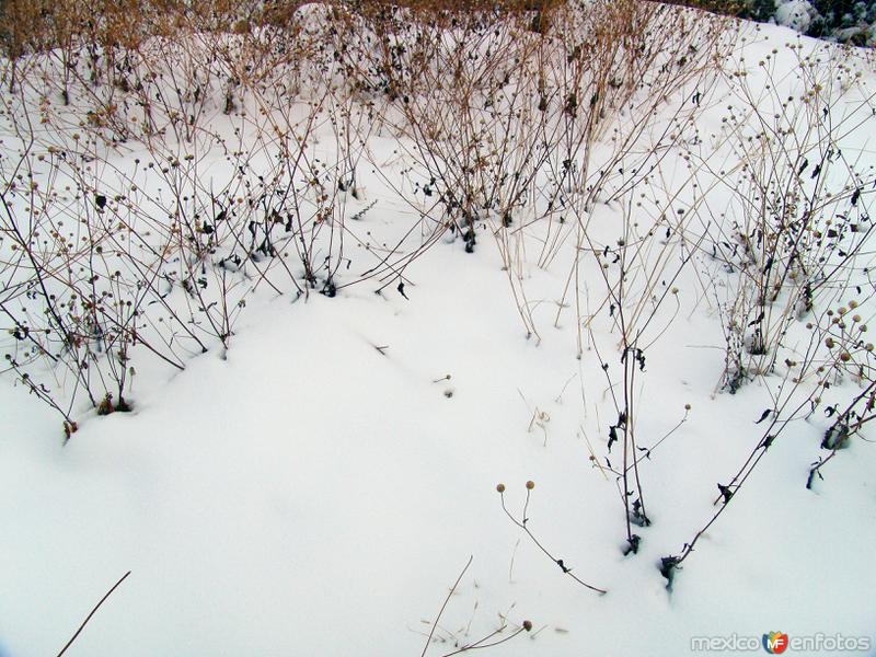 Nieve en la Sierra de San Luis