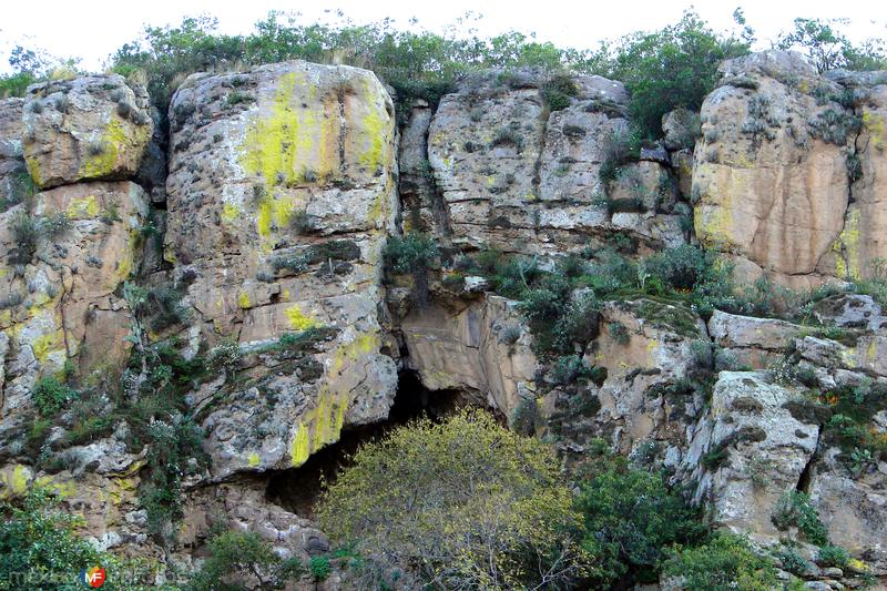 Barranca