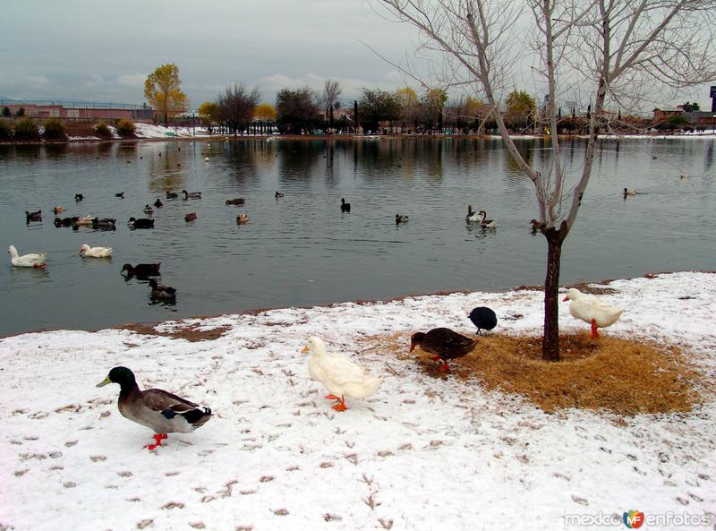 Parque Central