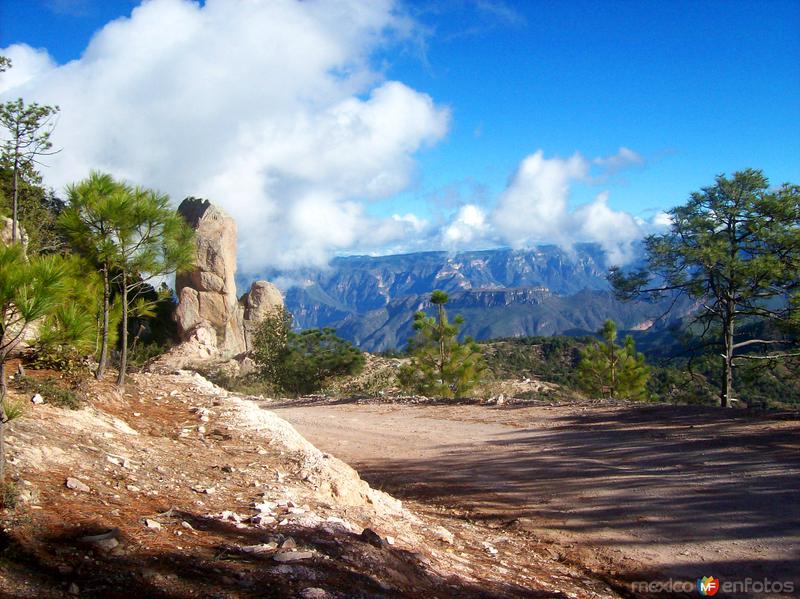 Sierra Madre Occidental