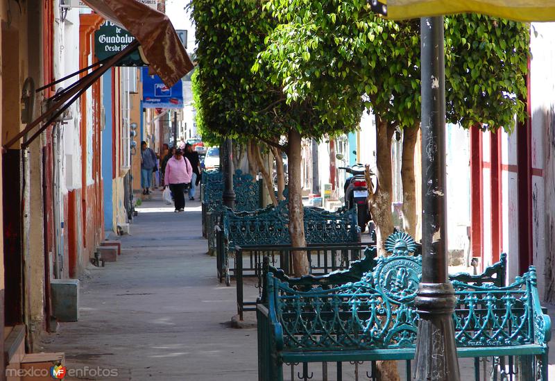 Andador Quintana Roo