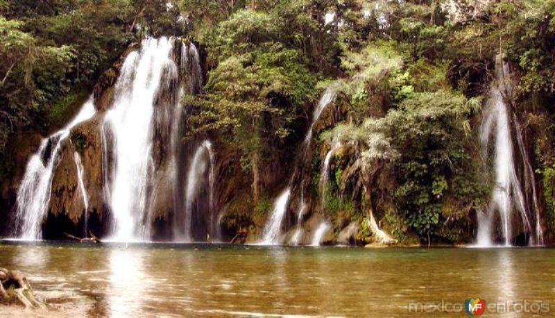 Cascadas de Tamasopo