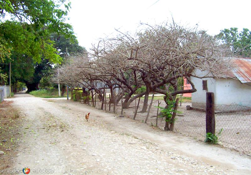 Caminos de San Miguel de la Mora