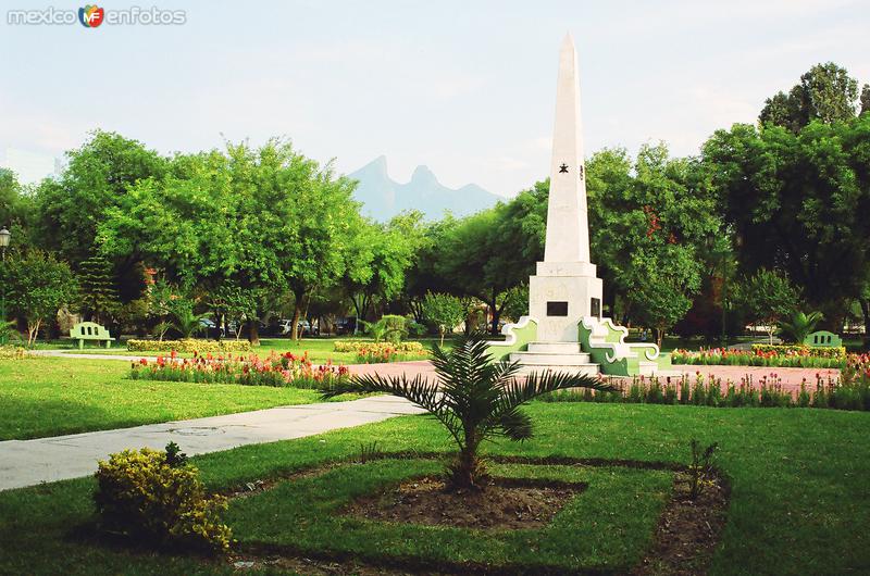 PARQUE DE LA COL. ROMA Y CERRO DE LA SILLA AL FONDO