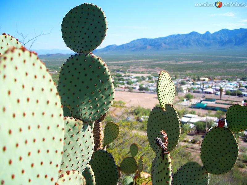 Panorámica de Velardeña