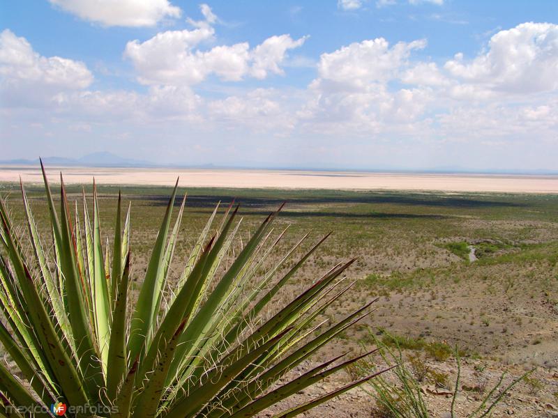 Vista hacia la Laguna El Barreal