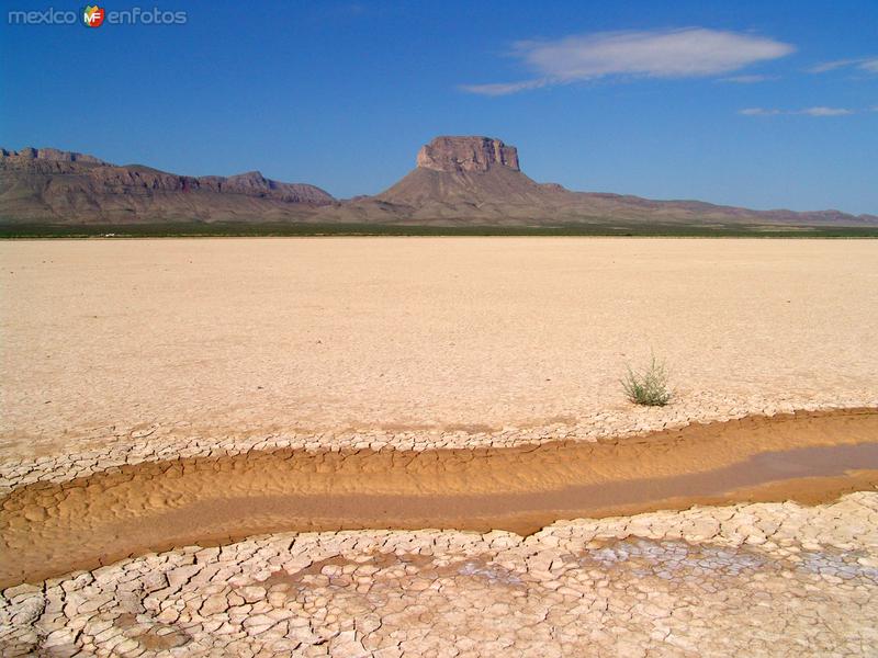 Laguna intermitente El Barreal