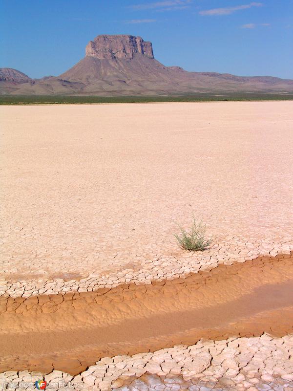 Laguna intermitente El Barreal