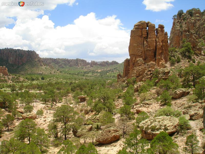 Sierra de Órganos