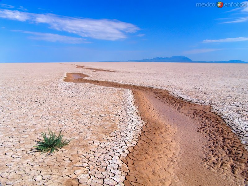 Laguna intermitente El Barreal