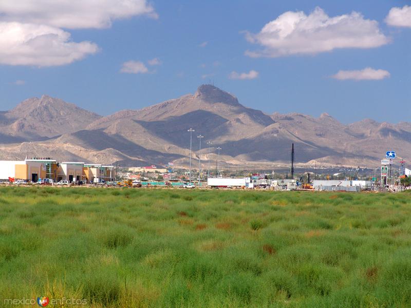 Sierra de Juárez