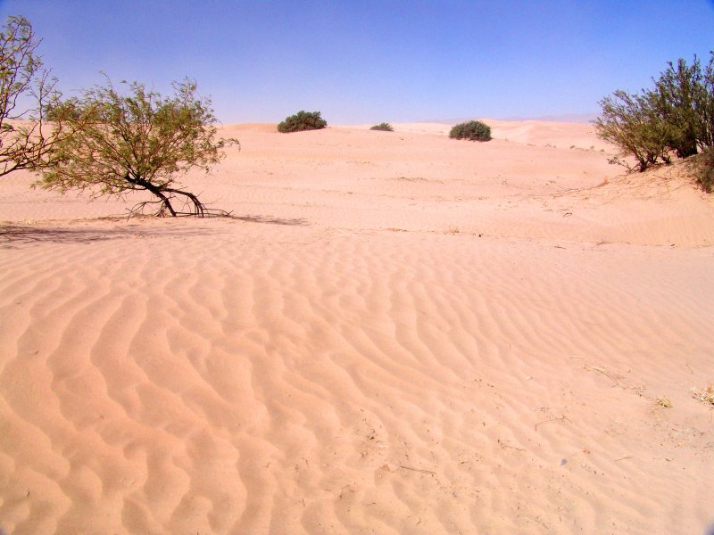 Dunas de Bilbao