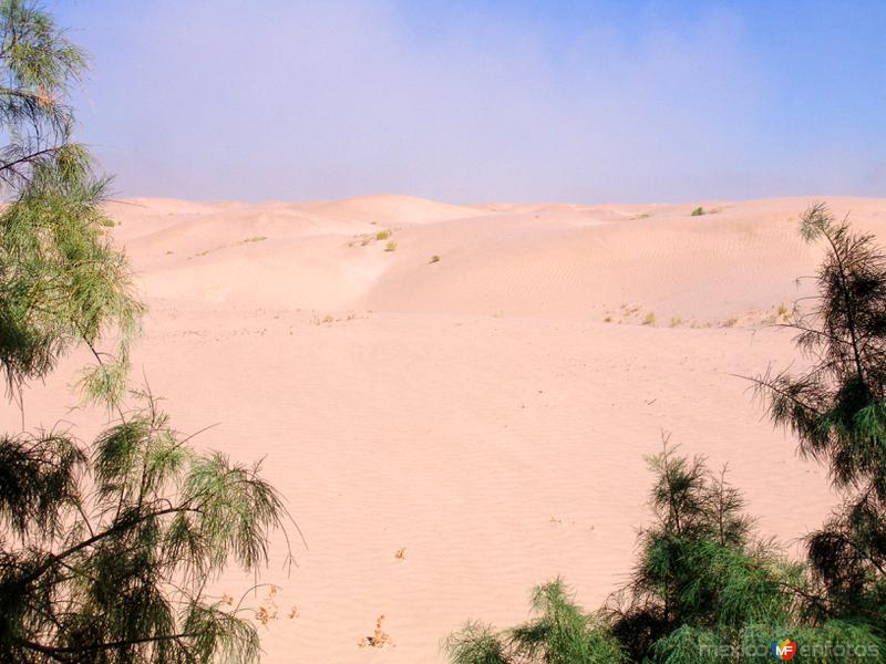 Dunas de Bilbao