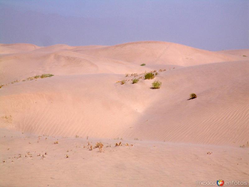 Dunas de Bilbao