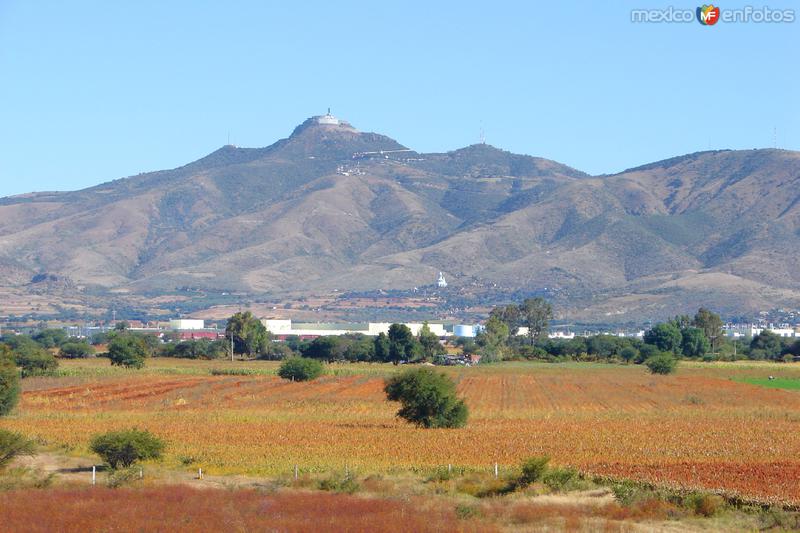 Cerro del Cubilete