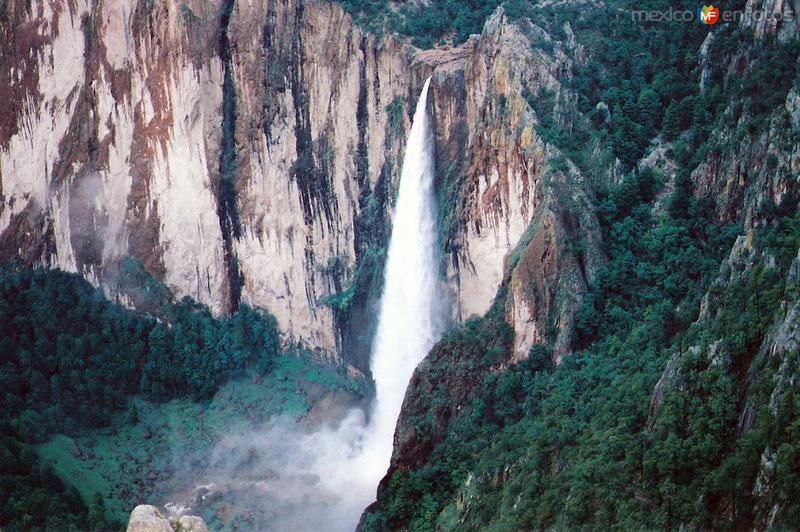 Fotos de Ocampo, Chihuahua, México: Cascada de Basaseachi