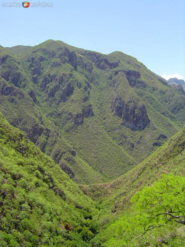 Barrancas del Cobre