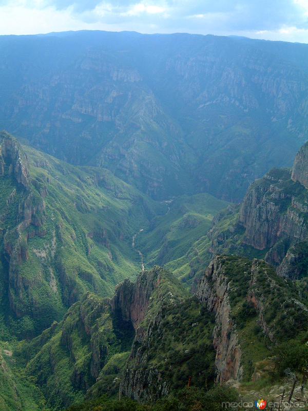 Barranca de Sinforosa