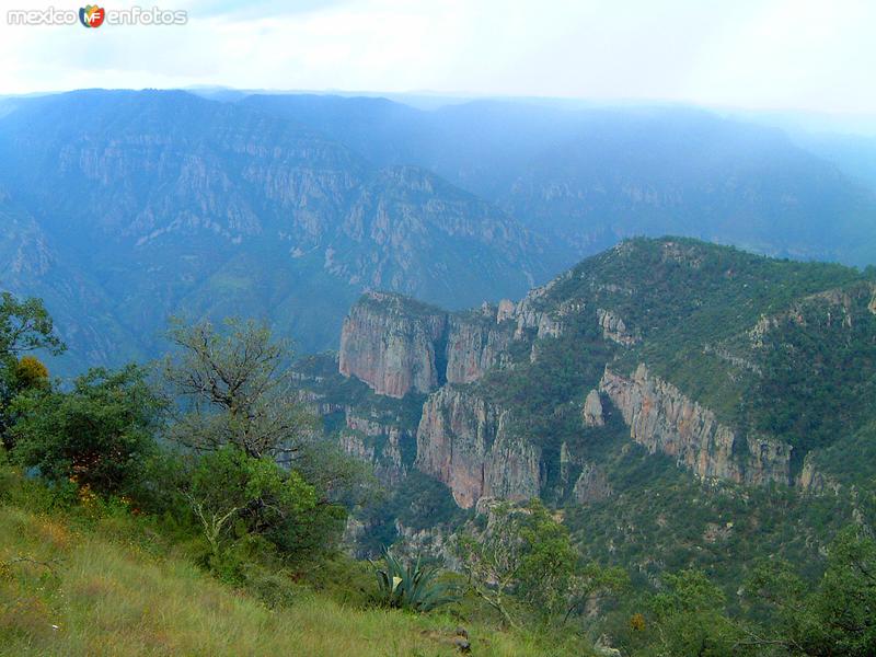 Barranca de Sinforosa