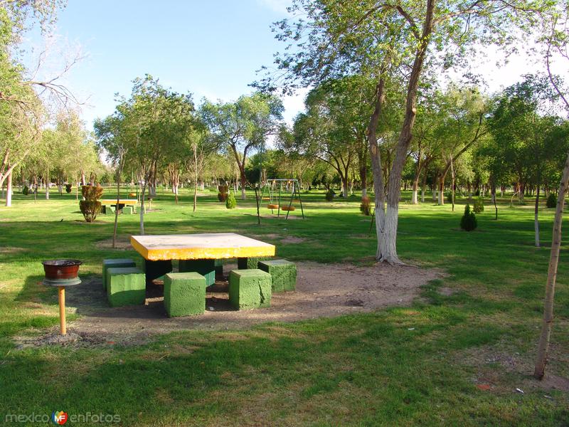 Área para día de campo