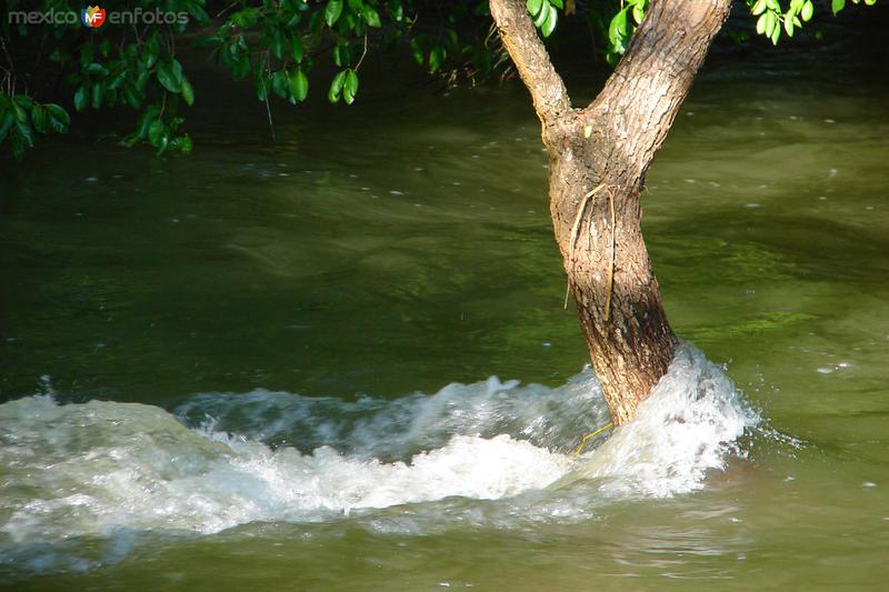 El Ojo de Agua