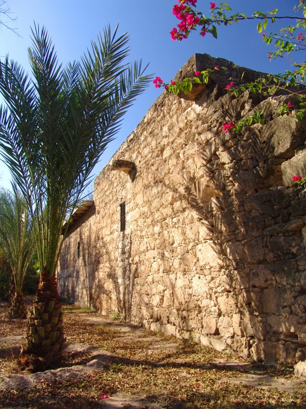 Fuerte de la Villa de San Pedro de Gigedo