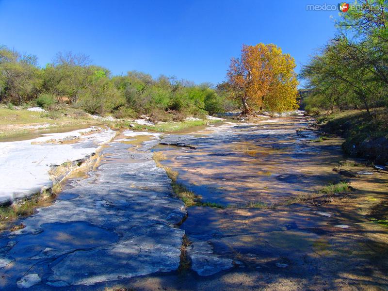 Parque La Luz