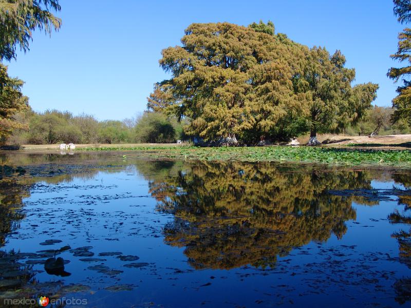 Parque La Luz