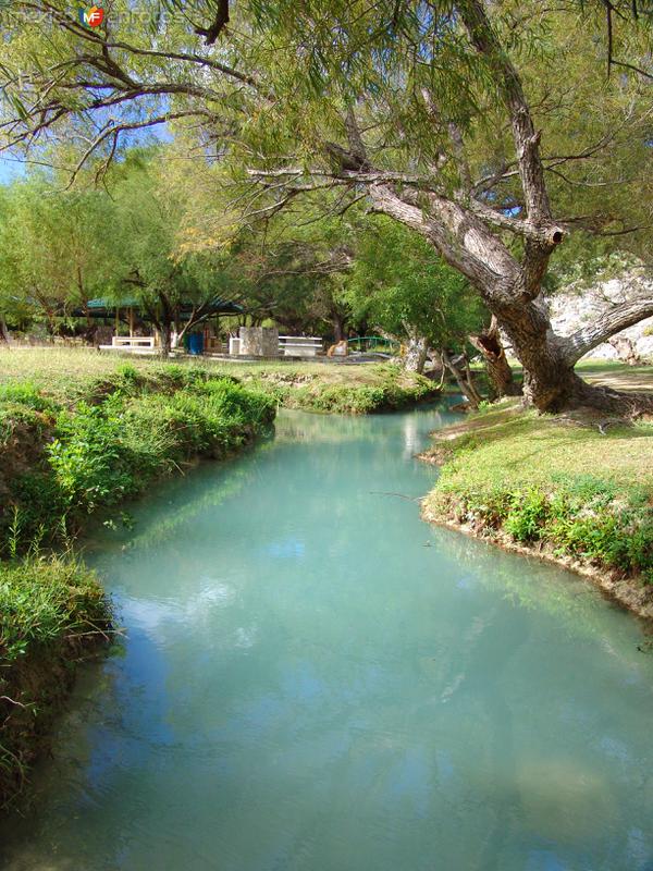 El Ojo de Agua del Cañón