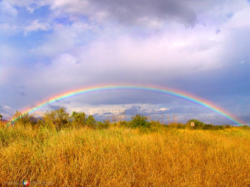 Arcoiris