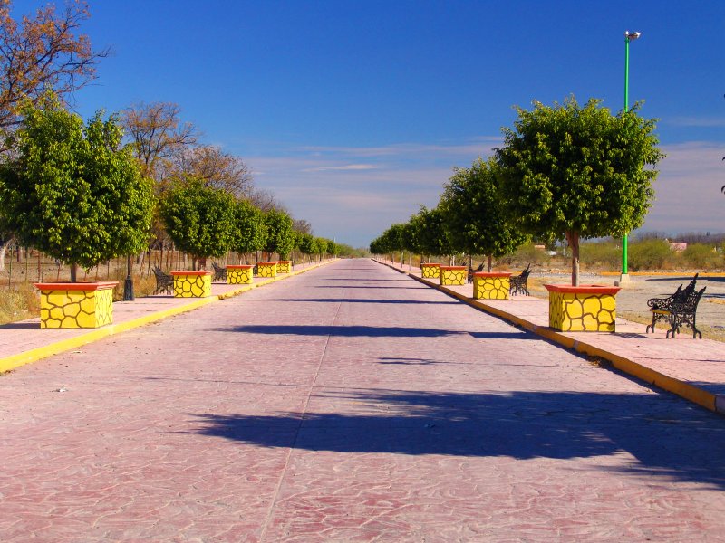 Paseo Viesca