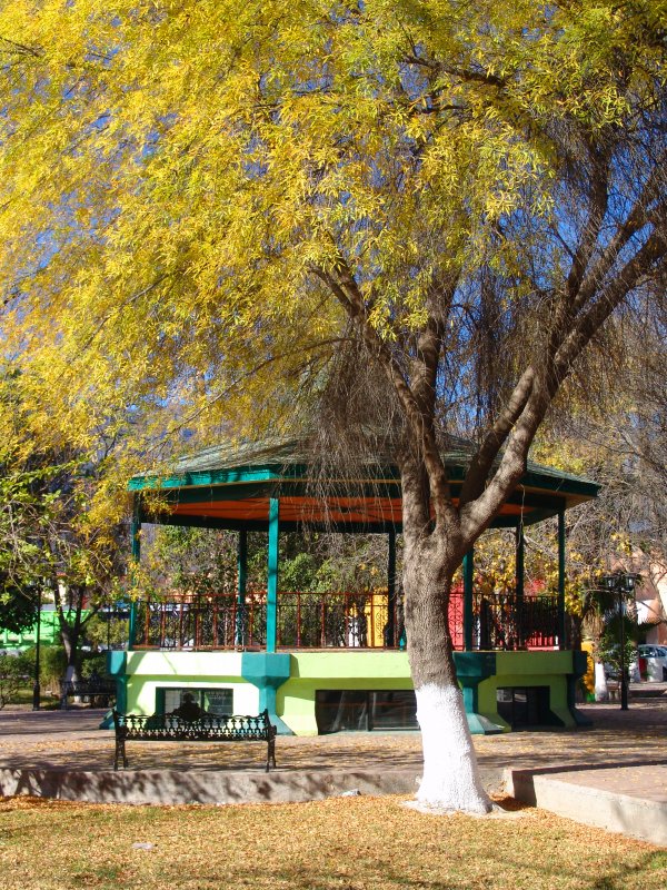 Plaza Principal o Plaza Juárez