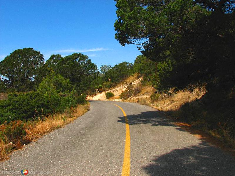 CAMINO A LA CARBONERA