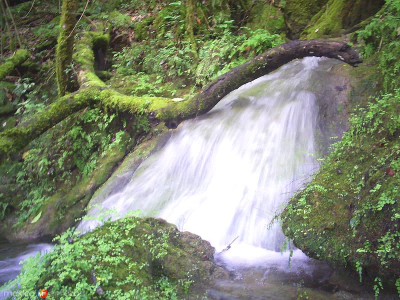 Reserva de la Biósfera El Cielo