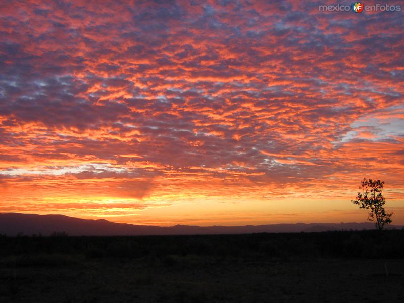 Bello atardecer