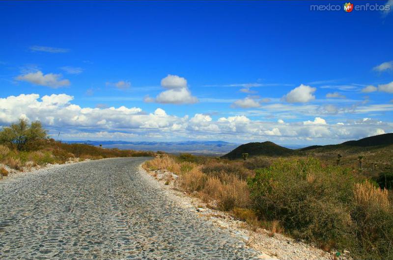 Camino a Real de Catorce