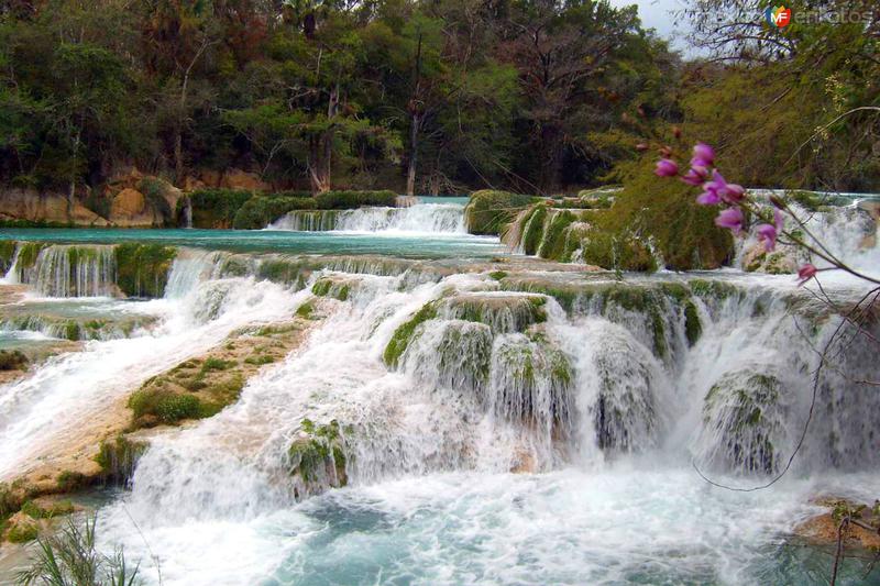 Cascada del Meco