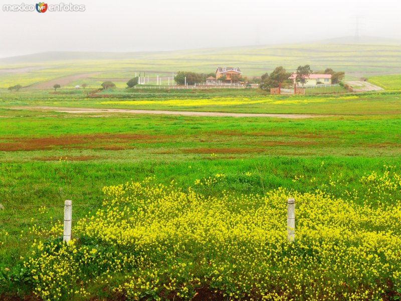 Paisajes de Rosarito