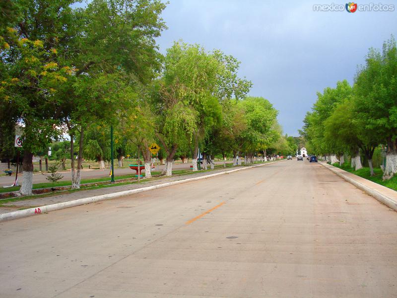 Calles de Aldama