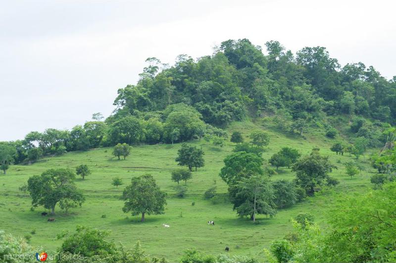 PAISAJES ENTRE TAJIN Y PAPANTLA, VER. MEX.