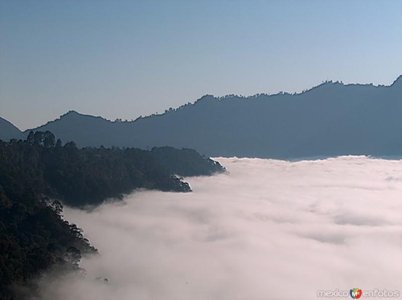 Barranca de los jilgueros entre niebla