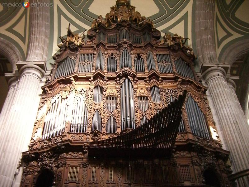 Catedral Metropolitana