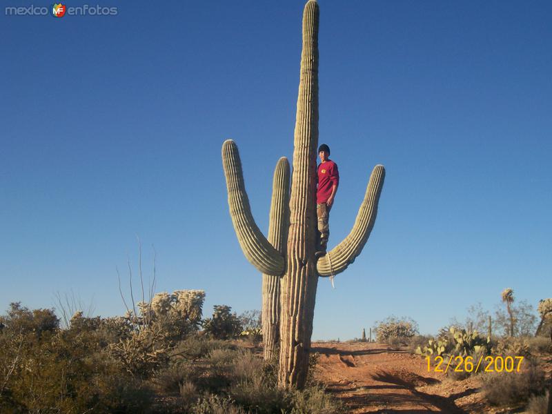 desierto