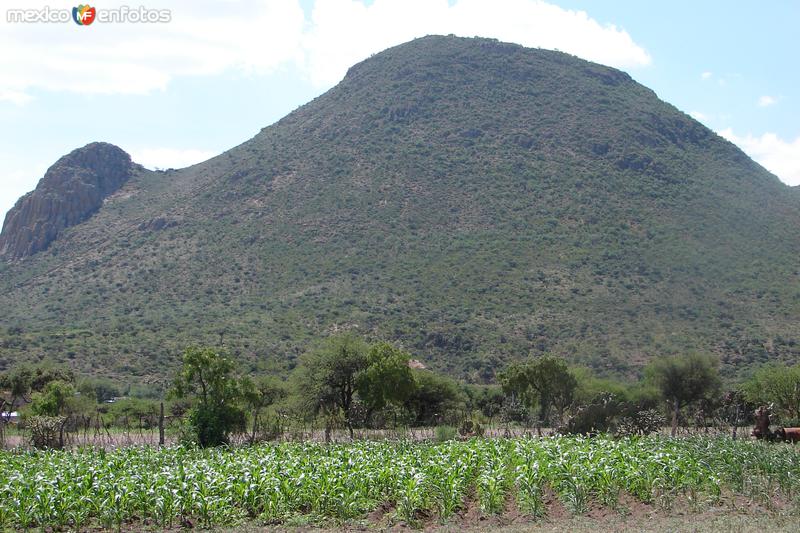 Cerro de la Tortuga